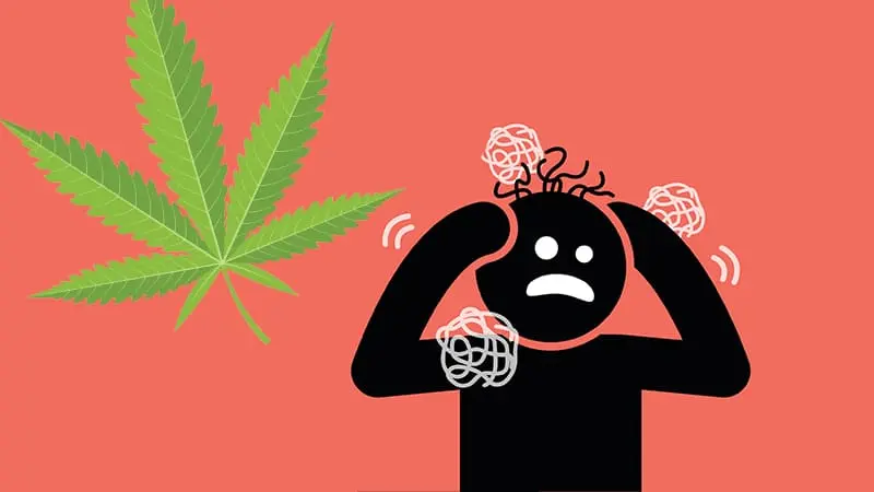 cannabis psychosis